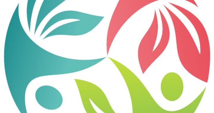 Boundless Life Revolutionizes Education with Global Learning Experiences