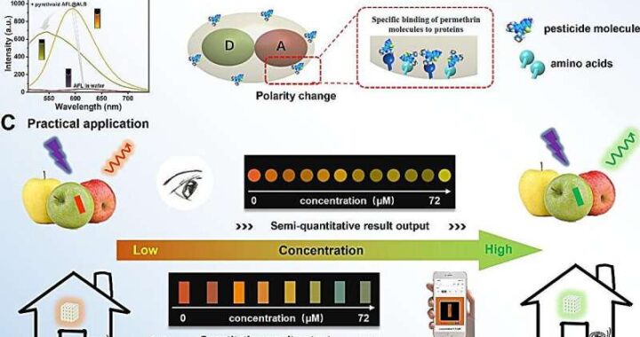 Breakthrough Fluorescent Probe Revolutionizes Pesticide Detection