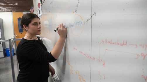 FAU’s Rising Star Paulina DeVito Wins Esteemed NSF Fellowship