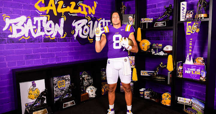 Georgia Bulldogs Lead Race for Top Tight End Brayden Fogle Amidst LSU, Penn State Interest