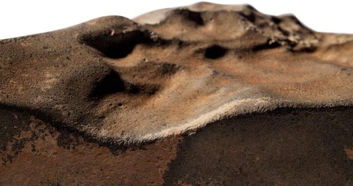 Largest Martian Meteorite on Earth Set to Auction for $4 Million