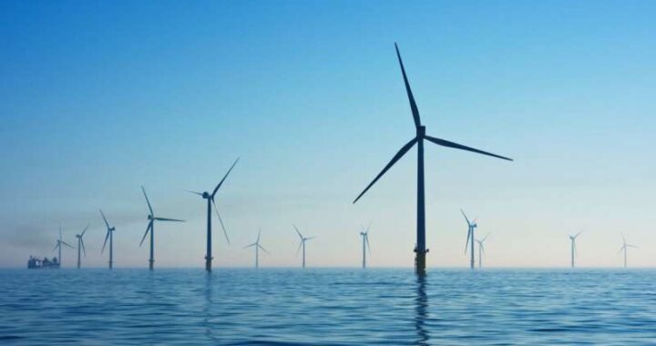 Offshore Wind in the Mediterranean: Balancing Renewable Energy and Biodiversity