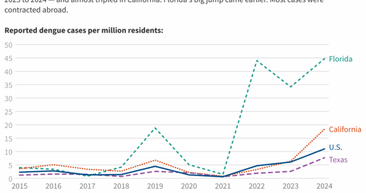 Surge in Dengue Cases Signals New Normal as Mosquito Season Peaks