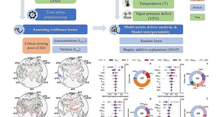 Vegetation Flourishes Yet Fails to Enhance Ecosystem Resilience in Northern Hemisphere