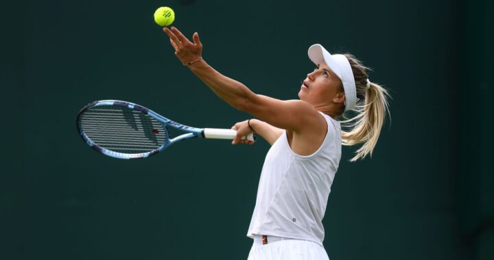Yulia Putintseva Requests Spectator Removal at Wimbledon Over Safety Concerns